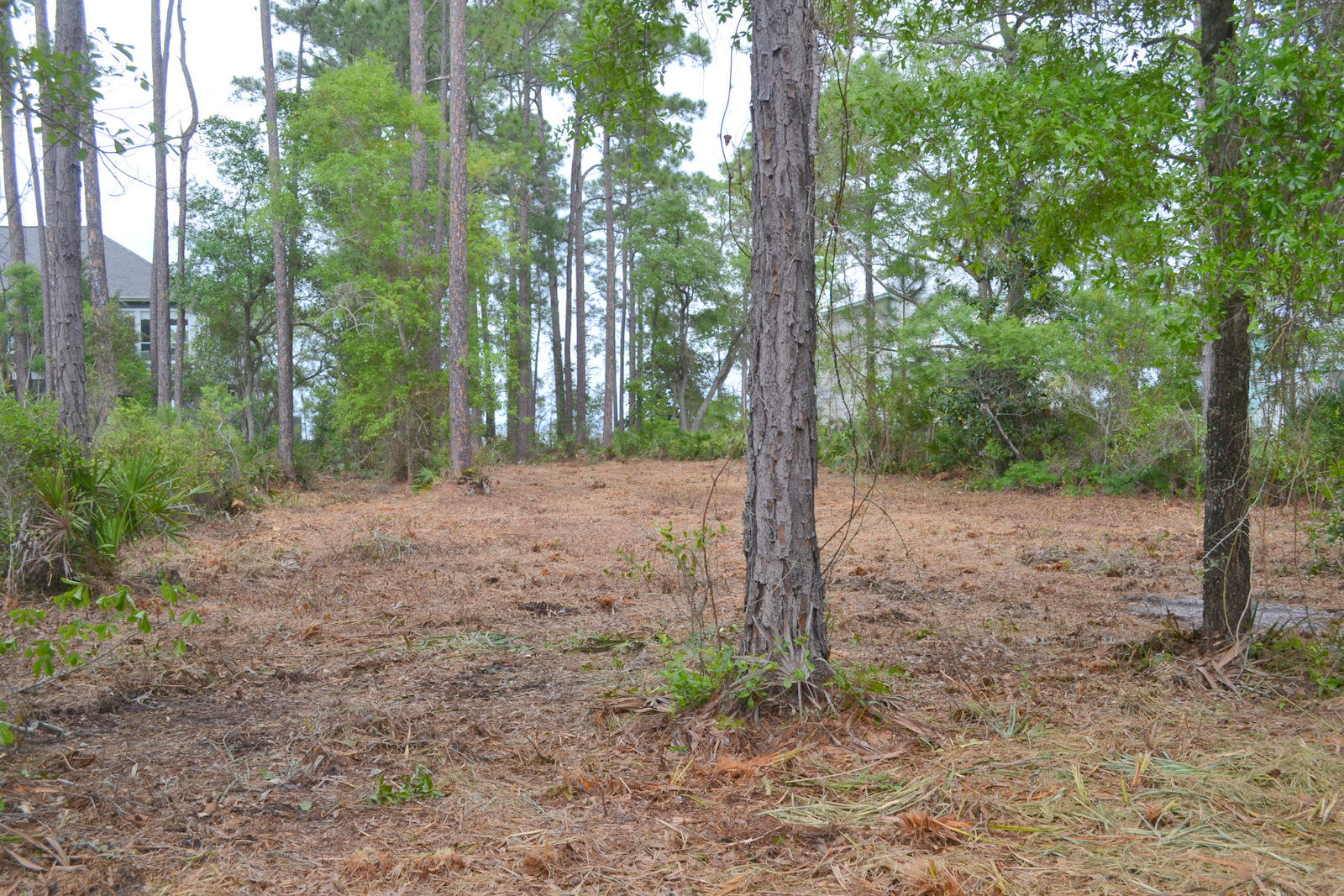Lot B Lot B Joy Santa Rosa Beach Santa Rosa Beach, FL 32459 - Photo 5 of 12 Gallery Image 5