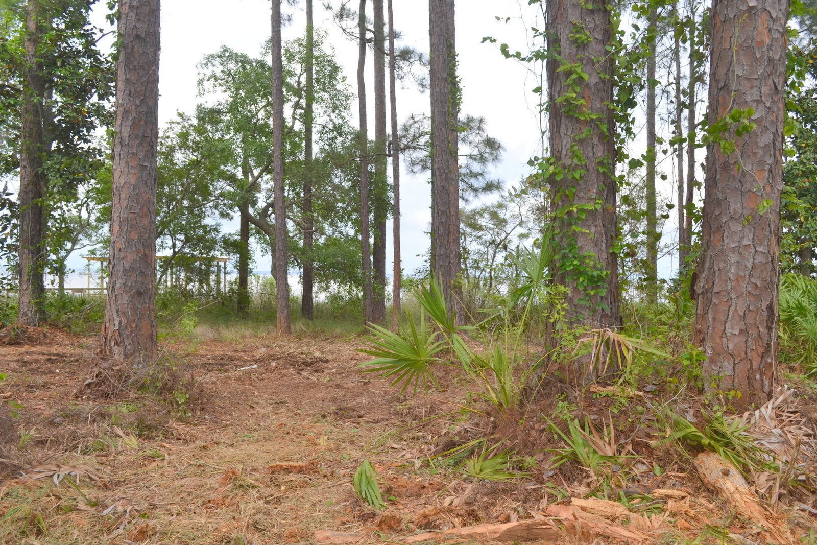 Lot B Lot B Joy Santa Rosa Beach Santa Rosa Beach, FL 32459 - Photo 7 of 12 Gallery Image 7