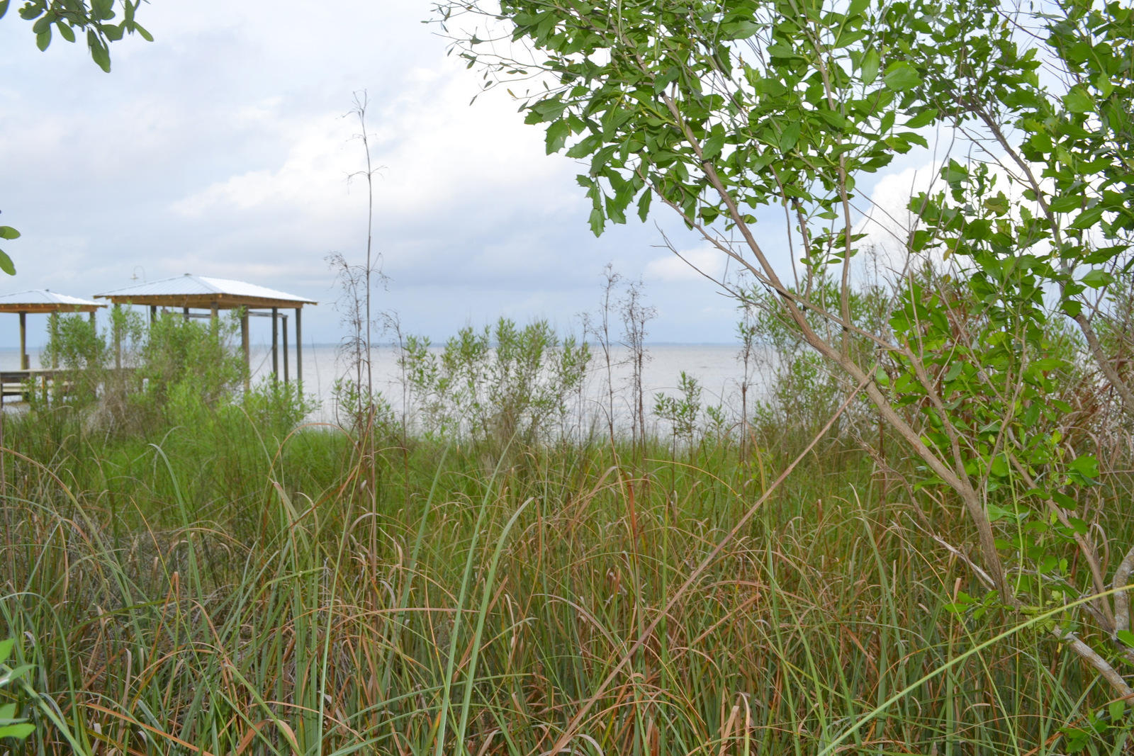 Lot B Lot B Joy Santa Rosa Beach Santa Rosa Beach, FL 32459 - Photo 8 of 12 Gallery Image 8
