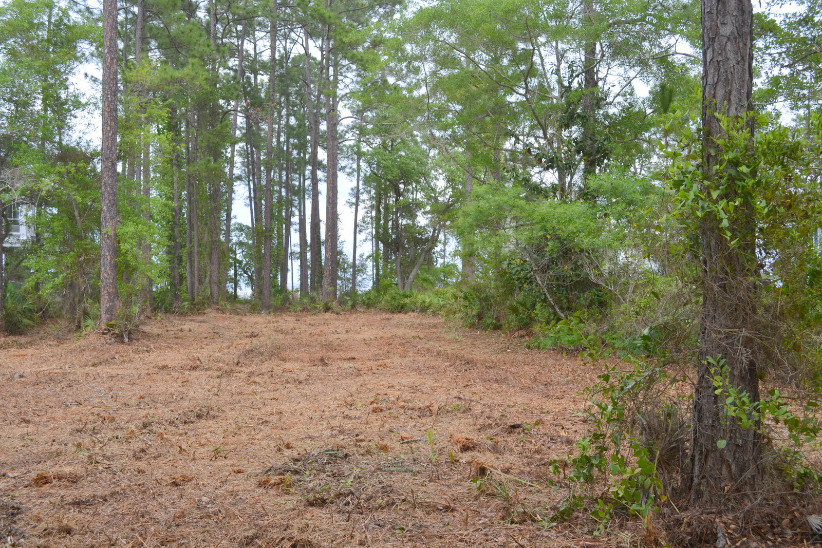 Lot B Lot B Joy Santa Rosa Beach Santa Rosa Beach, FL 32459 - Photo 10 of 12 Gallery Image 10