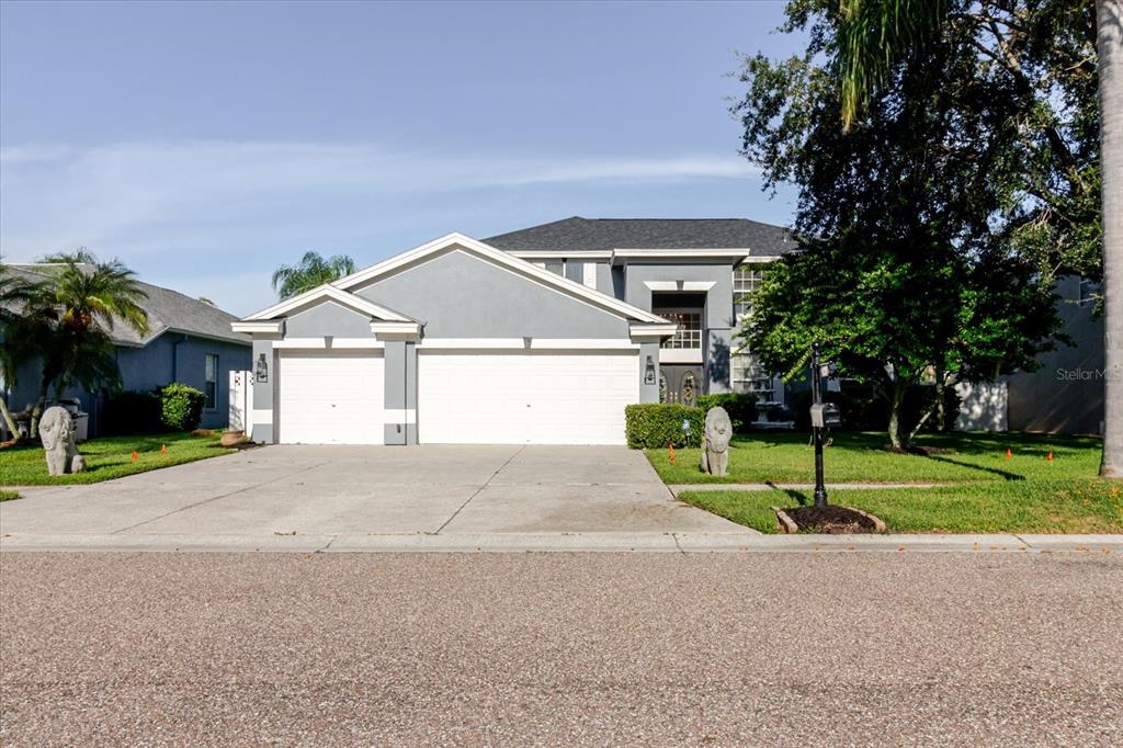 1725 Pink Guara Court Trinity, FL 34655 - Photo 3 of 100