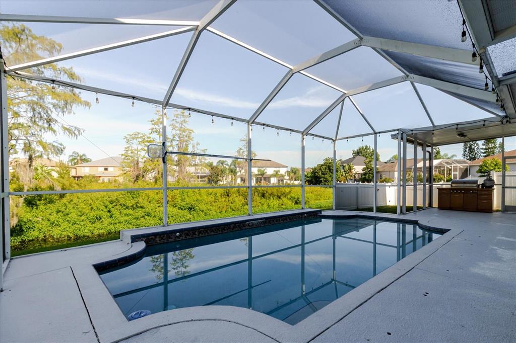 1725 Pink Guara Court Trinity, FL 34655 - Photo 84 of 100