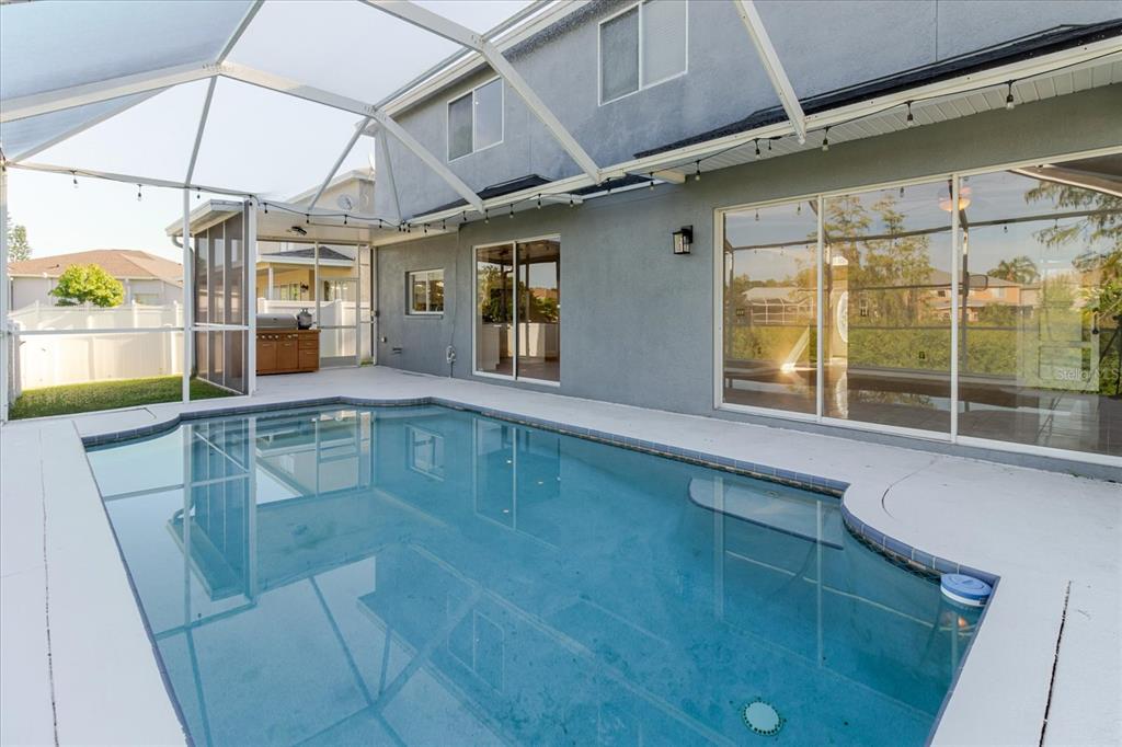 1725 Pink Guara Court Trinity, FL 34655 - Photo 86 of 100