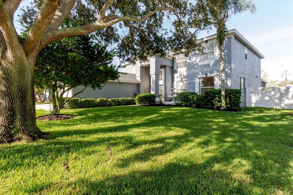 1725 Pink Guara Court Trinity, FL 34655 - Photo 93 of 100 a garden with trees in front of it