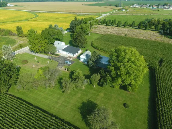 a view of a green yard with large trees