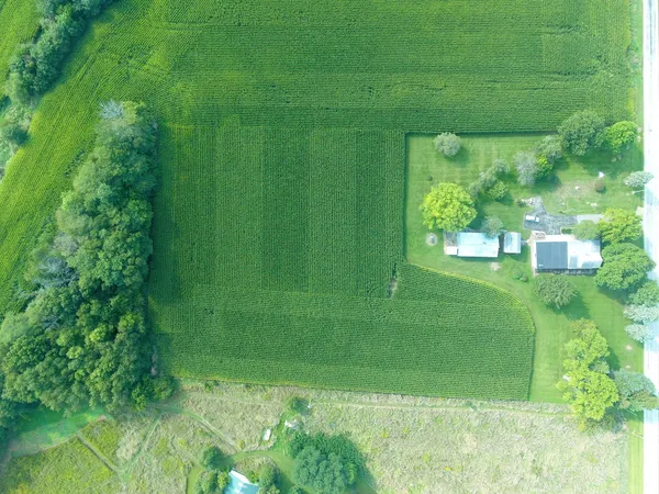 a green field with trees in the background