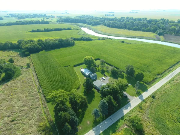 a view of a lush green field with plants and large trees