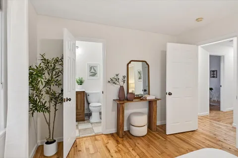 a living room with a potted plant and a large window