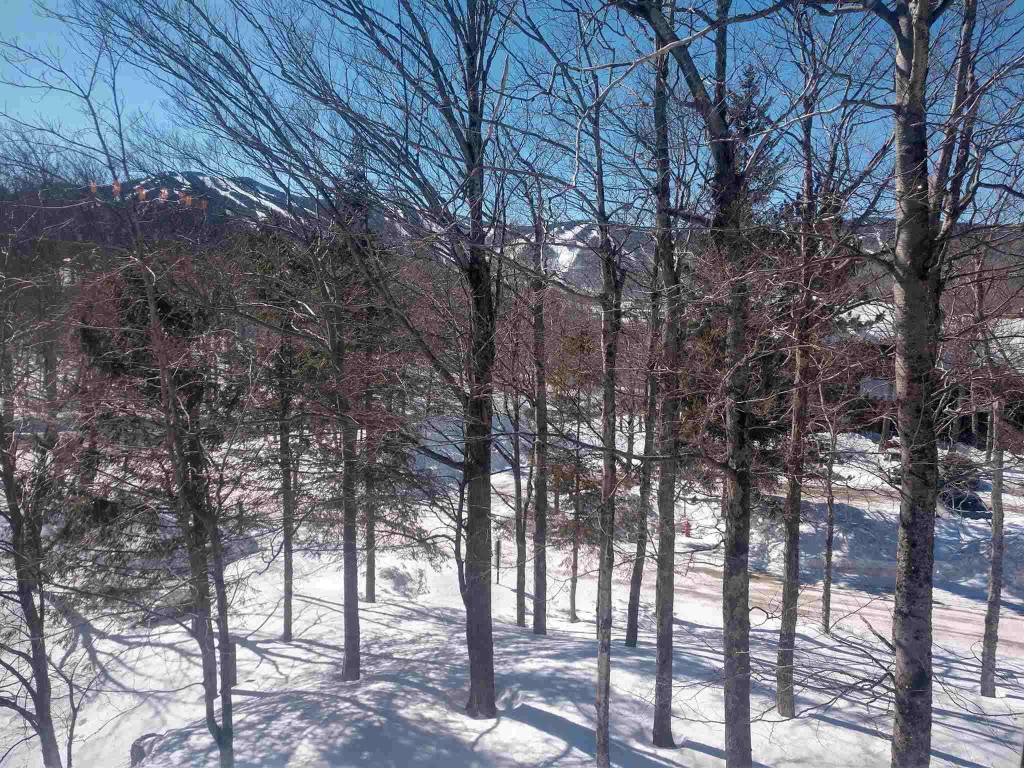112 High Ridge Road, Unit D3 Killington, VT 05751 - Photo 2 of 17 Gallery Image 2
