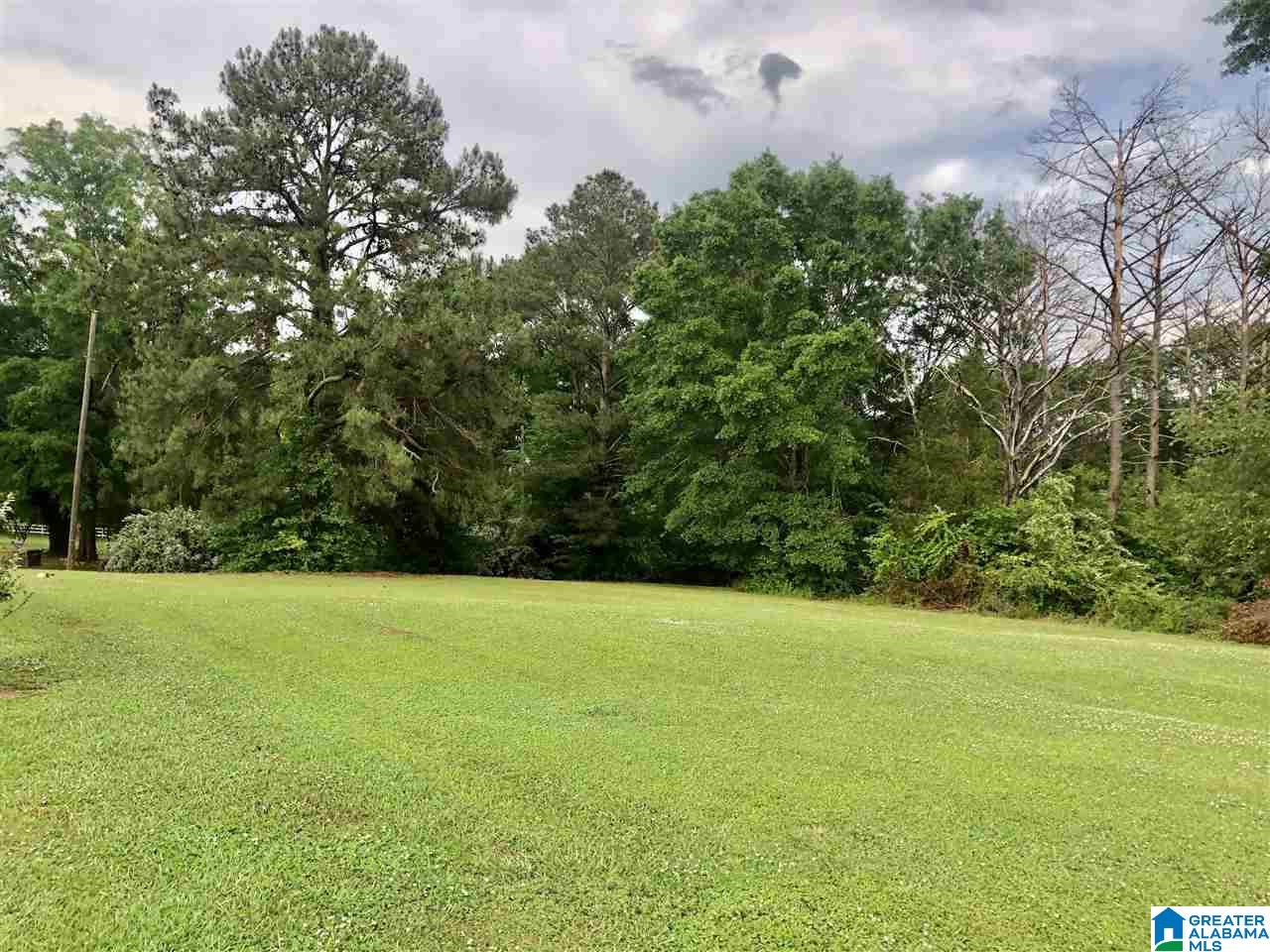 0 Carleton Point Drive, Unit 4 Wilsonville, AL 35186 - Photo 1 of 6