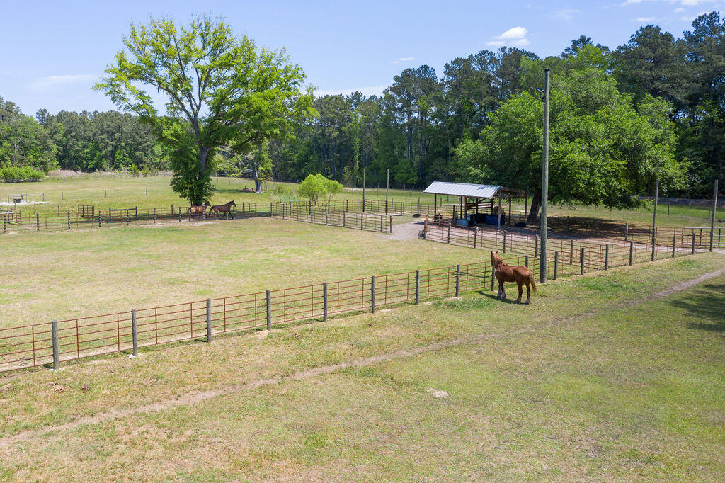 6022 Old Jacksonboro Road Ravenel, SC 29470 - Photo 11 of 60 6022OldJacksonboroRd-23