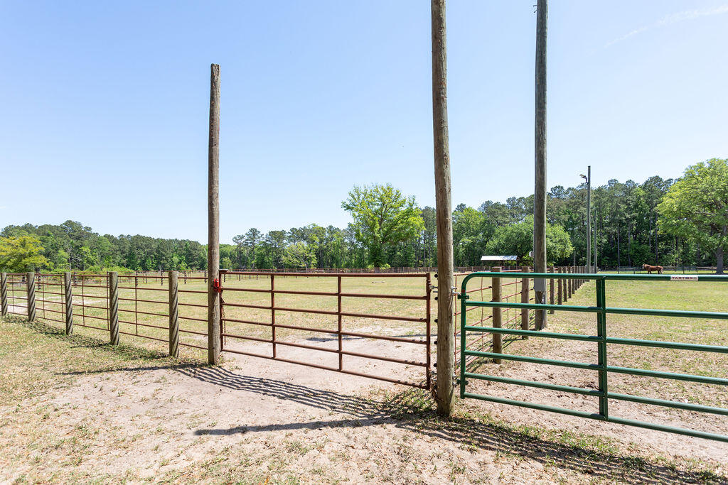 6022 Old Jacksonboro Road Ravenel, SC 29470 - Photo 39 of 60 6022OldJacksonboroRd-41