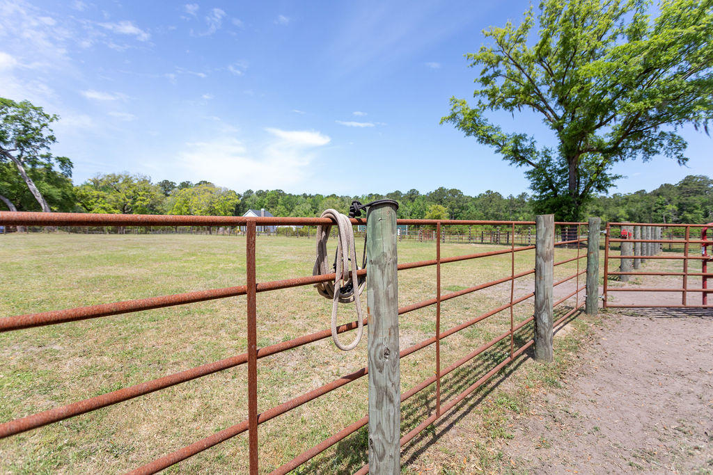 6022 Old Jacksonboro Road Ravenel, SC 29470 - Photo 41 of 60 6022OldJacksonboroRd-43