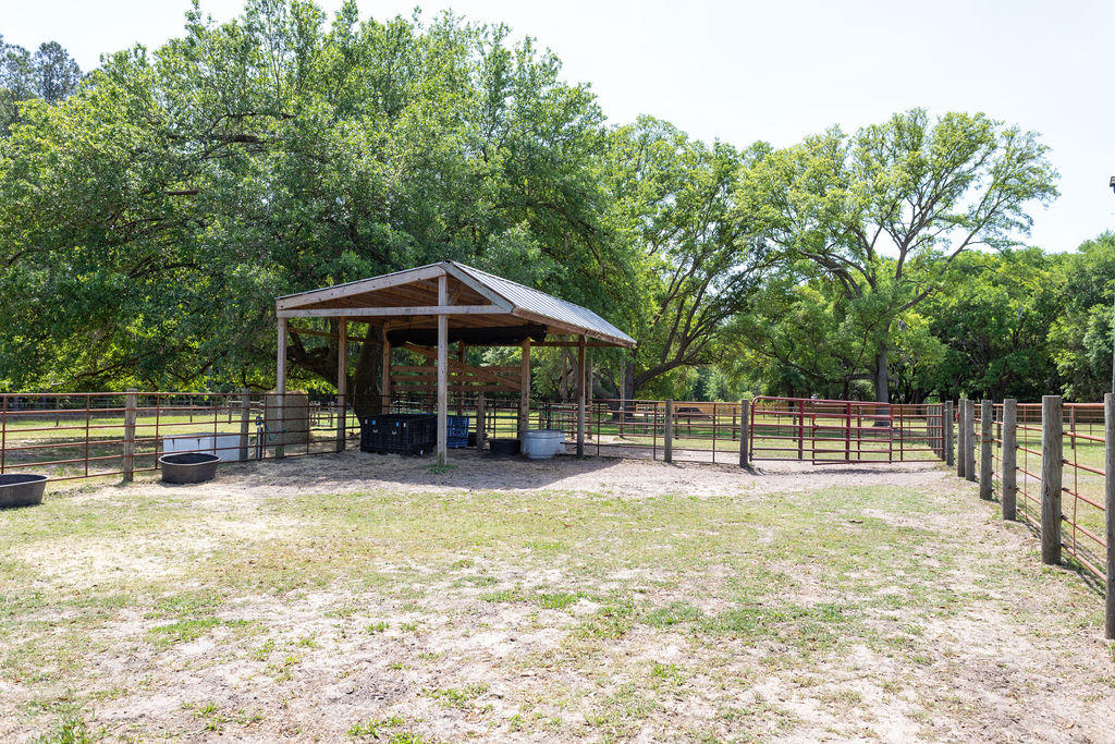 6022 Old Jacksonboro Road Ravenel, SC 29470 - Photo 42 of 60 6022OldJacksonboroRd-44
