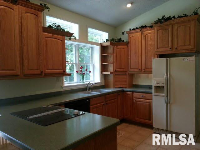 9208 Day Road Marion, IL 62959 - Photo 4 of 25 Gallery Image 4