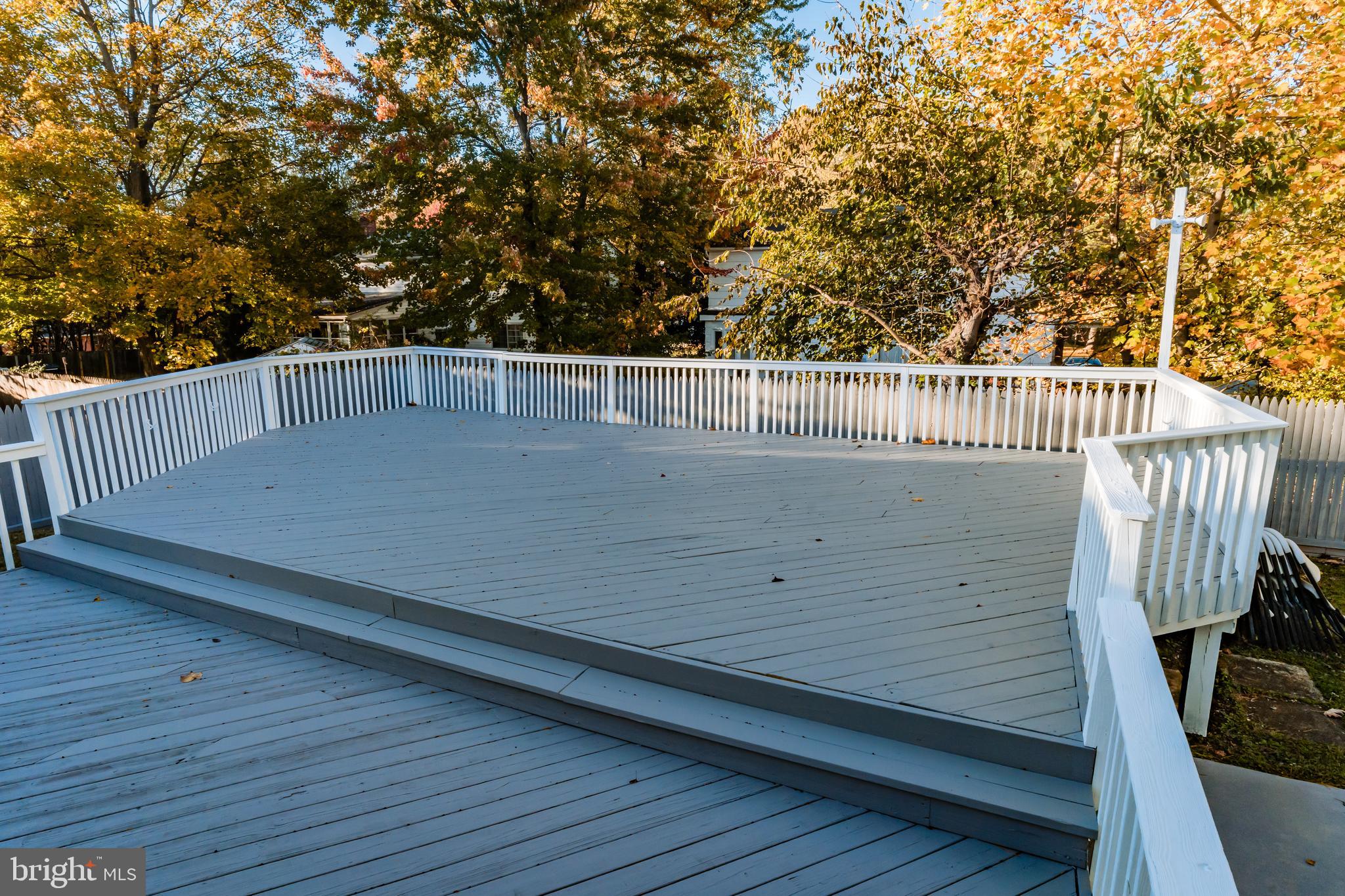 1110 Gresham Road Silver Spring, MD 20904 - Photo 64 of 75 Freshly Painted with Exterior Lights.