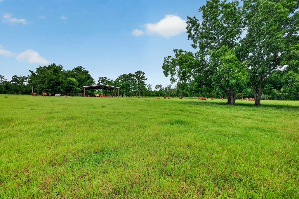 4497 Howard Road Pavo, GA 31778 - Photo 51 of 51 Gallery Image 51