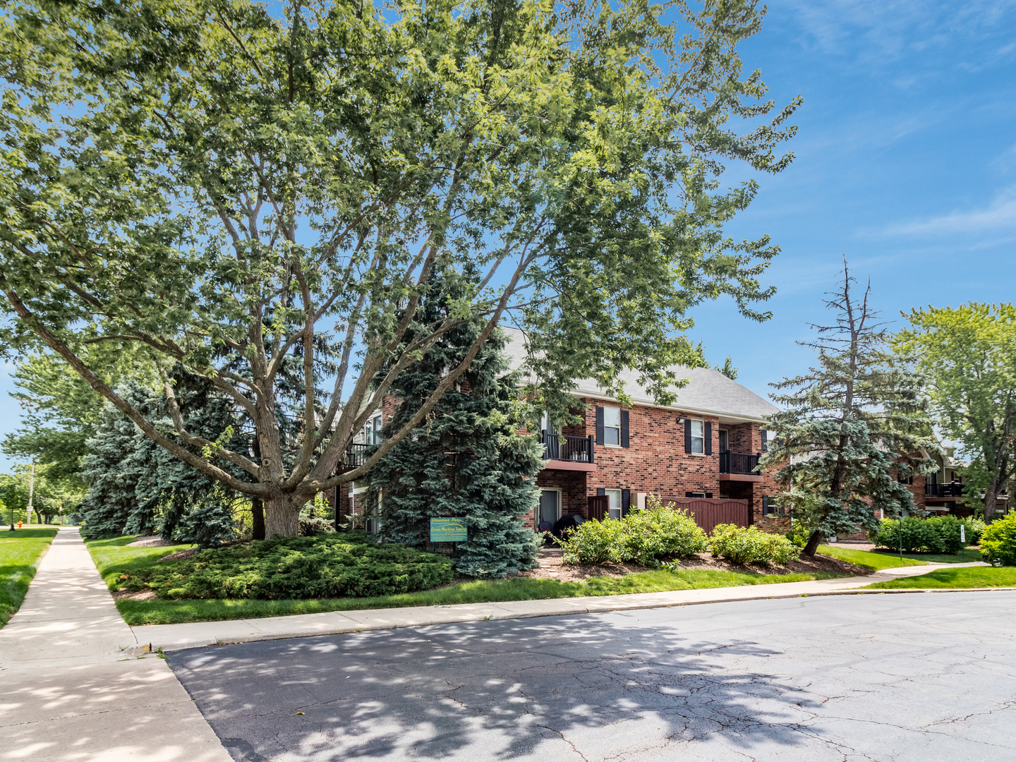1340 McDowell Road, Unit 202 Naperville, IL 60563 - Photo 6 of 24 a view of a house with a yard and large trees