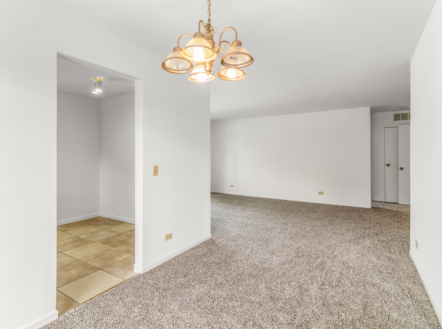 1340 McDowell Road, Unit 202 Naperville, IL 60563 - Photo 10 of 24 en view interior of the house