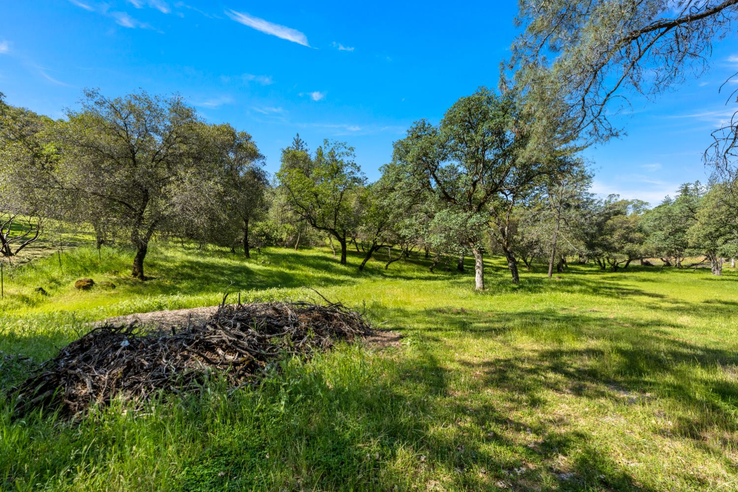 14800 McElroy Road Auburn, CA 95602 - Photo 2 of 39 a view of a golf course