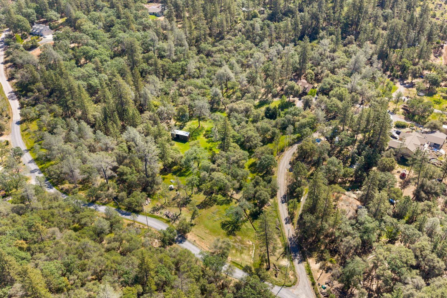 14800 McElroy Road Auburn, CA 95602 - Photo 33 of 39 a view of a bunch of trees and bushes