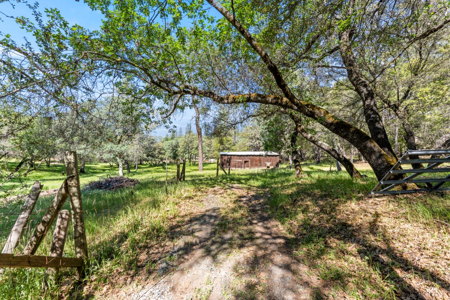 14800 McElroy Road Auburn, CA 95602 - Photo 39 of 39 a backyard of a house with lots of green space