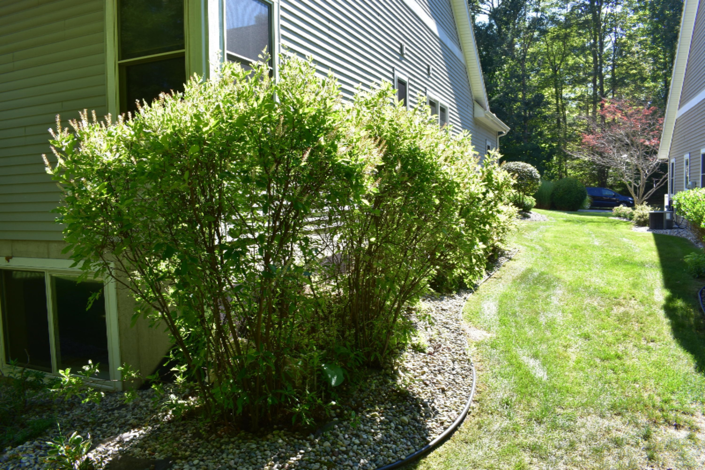 19106 Ravine Rdg Drive Spring Lake, MI 49456 - Photo 34 of 38 DSC_0452