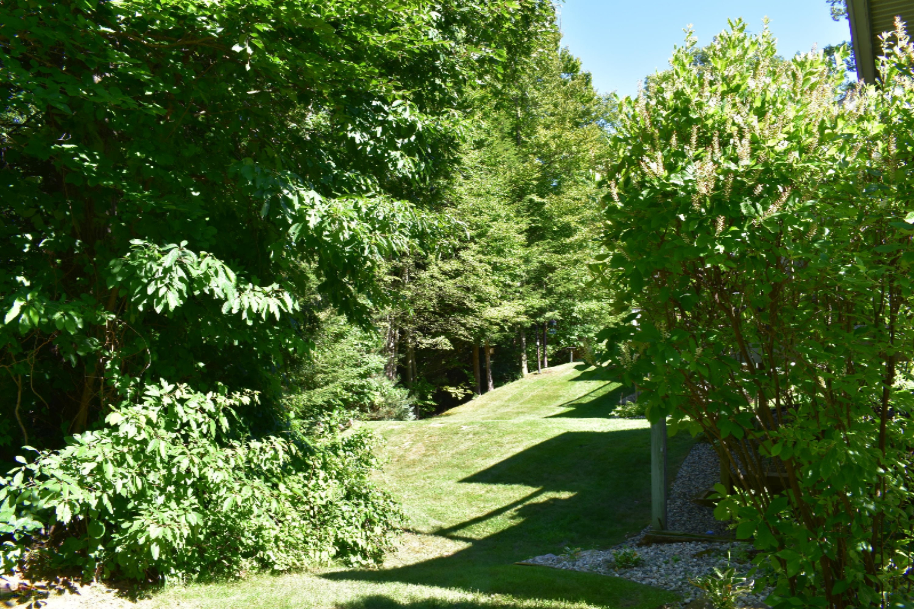 19106 Ravine Rdg Drive Spring Lake, MI 49456 - Photo 37 of 38 DSC_0455