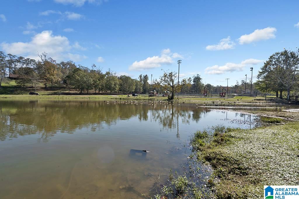 621 Parkside Circle Helena, AL 35080 - Photo 32 of 35