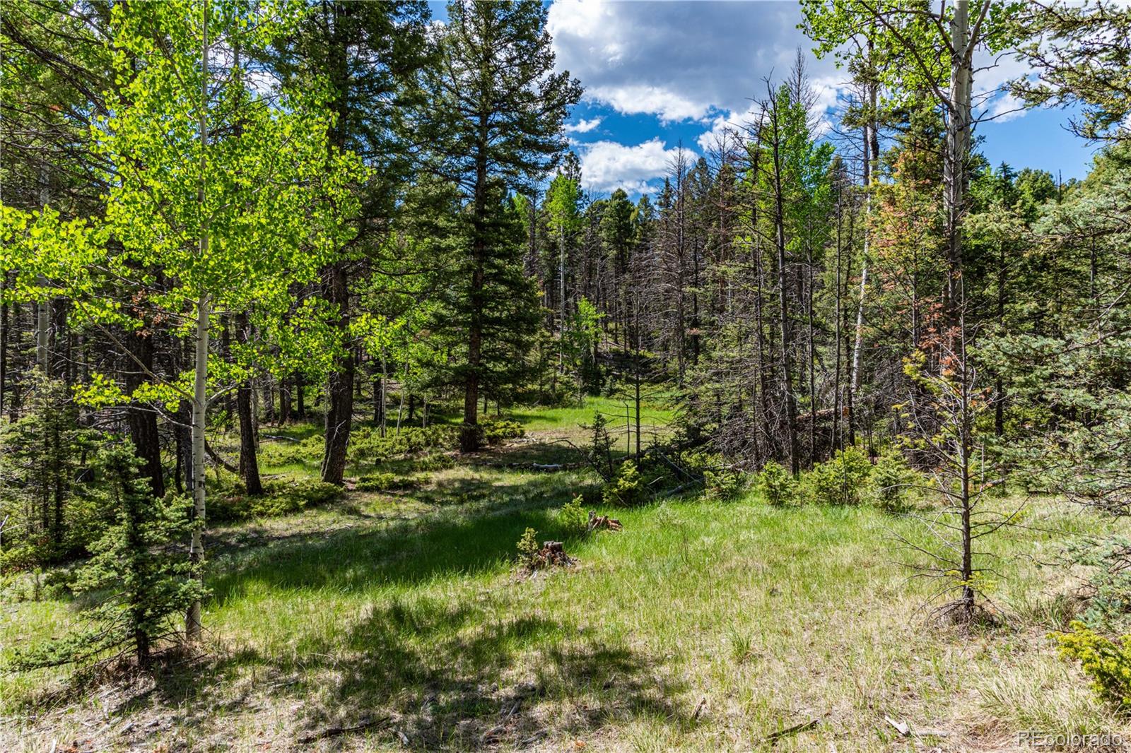 298 Steven Road Canon City, CO 81212 - Photo 9 of 35