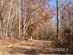 0 Scrivens Road, Unit LOT A Tryon, NC 28782 - Photo 2 of 6 a view of a backyard of the house