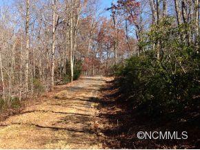 0 Scrivens Road, Unit LOT A Tryon, NC 28782 - Photo 5 of 6