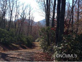 0 Scrivens Road, Unit LOT A Tryon, NC 28782 - Photo 6 of 6 a view of a forest covered with trees