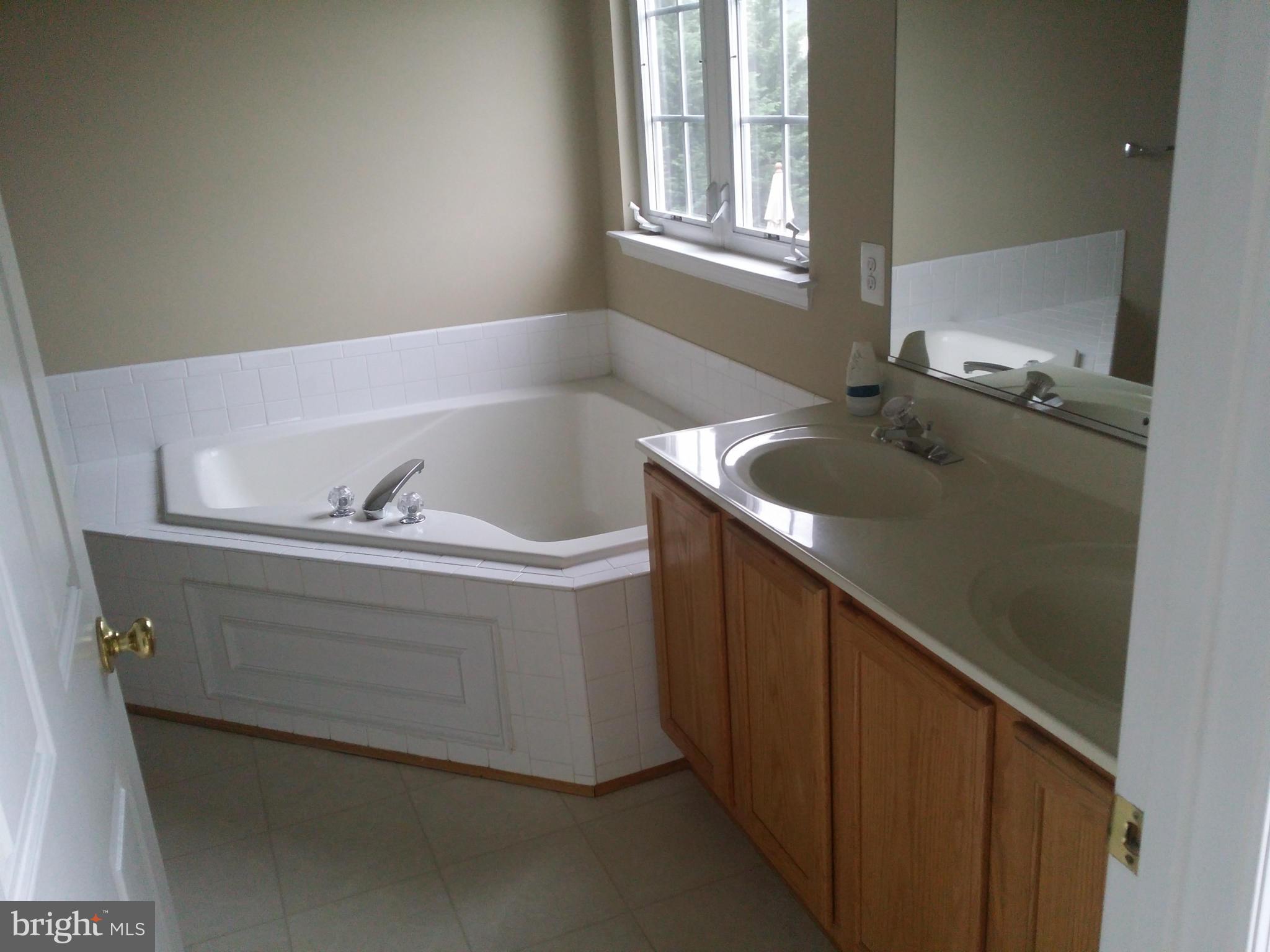 18412 Ashmeade Road Boyds, MD 20841 - Photo 9 of 17 Bath (Master)