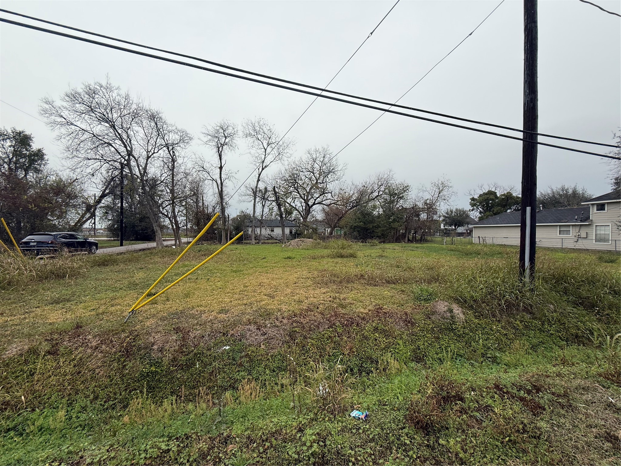 a view of a backyard