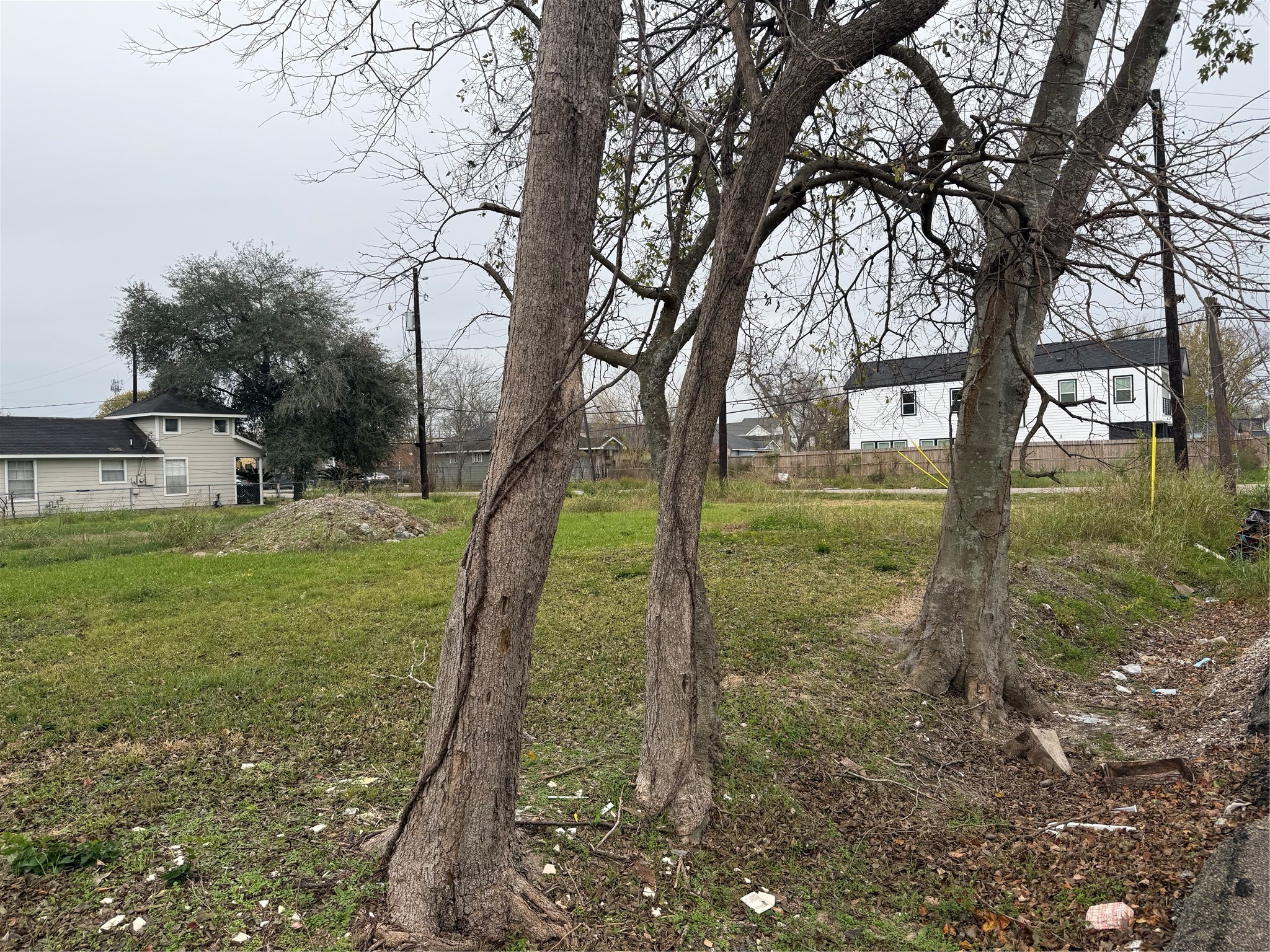 2206 Erastus Street Houston, TX 77020 - Photo 2 of 3 a backyard of a house with lots of green space