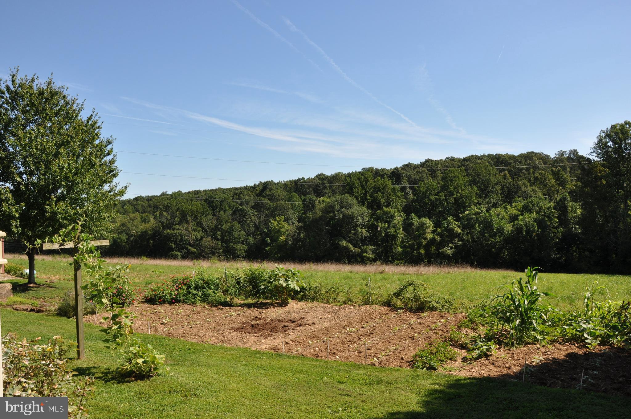 12473 Canning House Road Felton, PA 17322 - Photo 61 of 72 Gallery Image 61