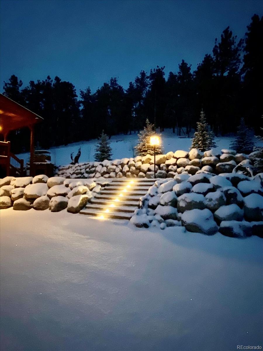 2894 County Road 43 Bailey, CO 80421 - Photo 46 of 48 a view of swimming pool from a yard