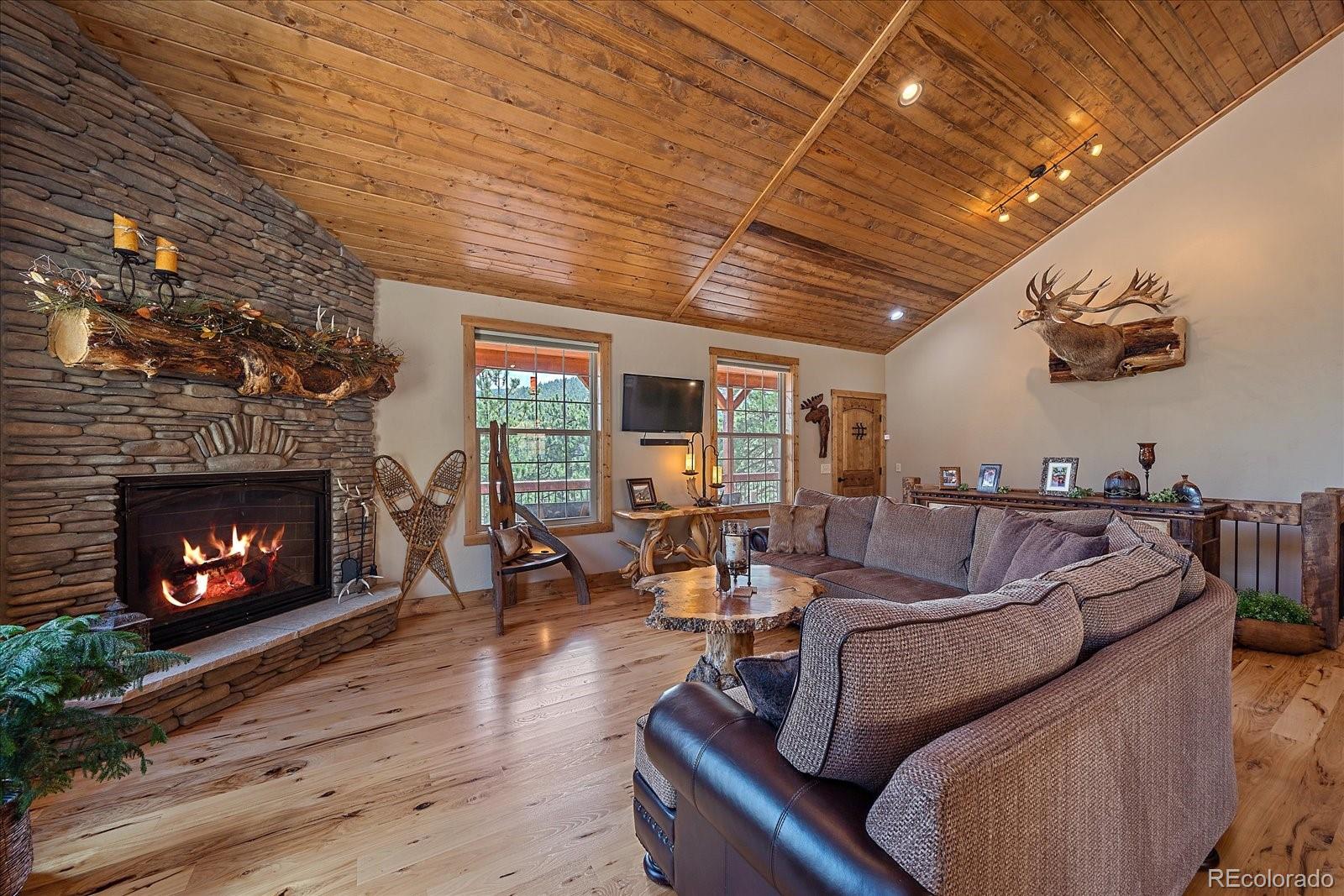 2894 County Road 43 Bailey, CO 80421 - Photo 10 of 48 a living room with furniture and a fireplace