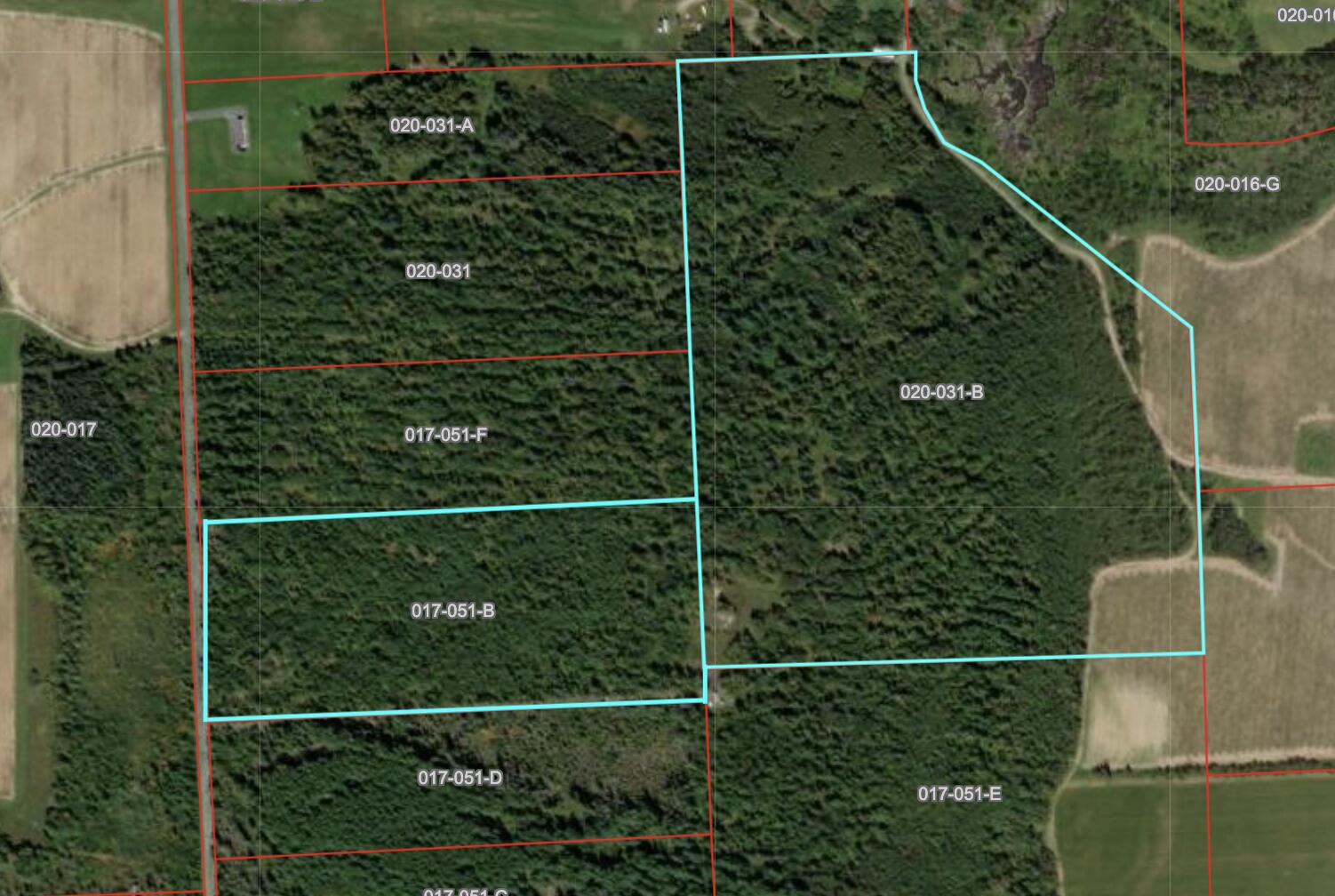 L51-b & 31b Belanger Road Caribou, ME 04736 - Photo 2 of 8 Highlighted Tax Map (1)