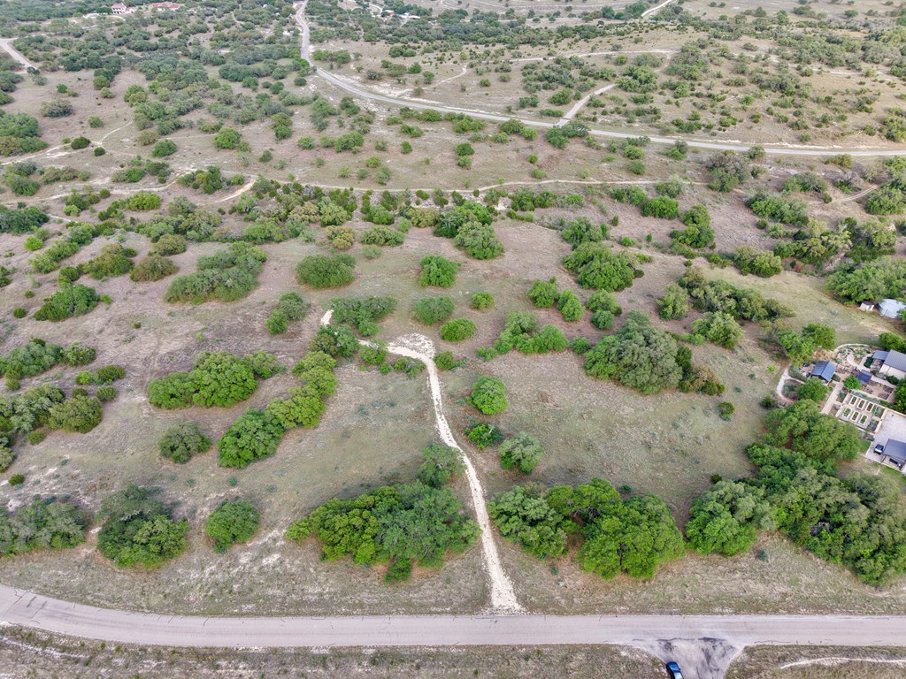 768 North Walnut Springs Road, Unit 26 Johnson City, TX 78636 - Photo 13 of 23 a view of a yard with a dry yard