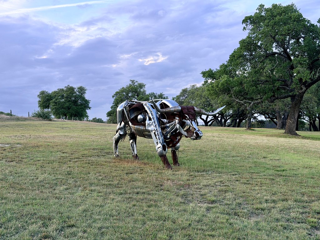 768 North Walnut Springs Road, Unit 26 Johnson City, TX 78636 - Photo 14 of 23 a view of outdoor space with garden and trees