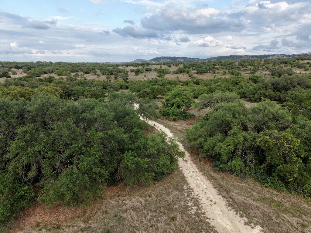 768 North Walnut Springs Road, Unit 26 Johnson City, TX 78636 - Photo 2 of 23 a view of a city with lush green forest