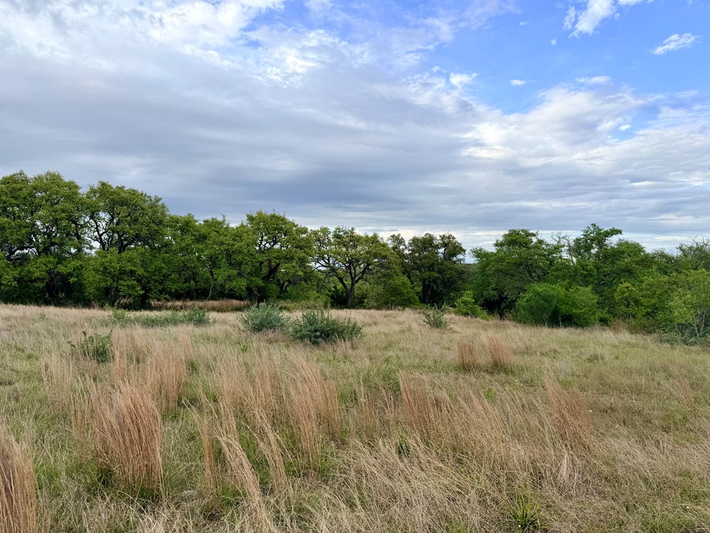 768 North Walnut Springs Road, Unit 26 Johnson City, TX 78636 - Photo 7 of 23 a view of a yard with a tree