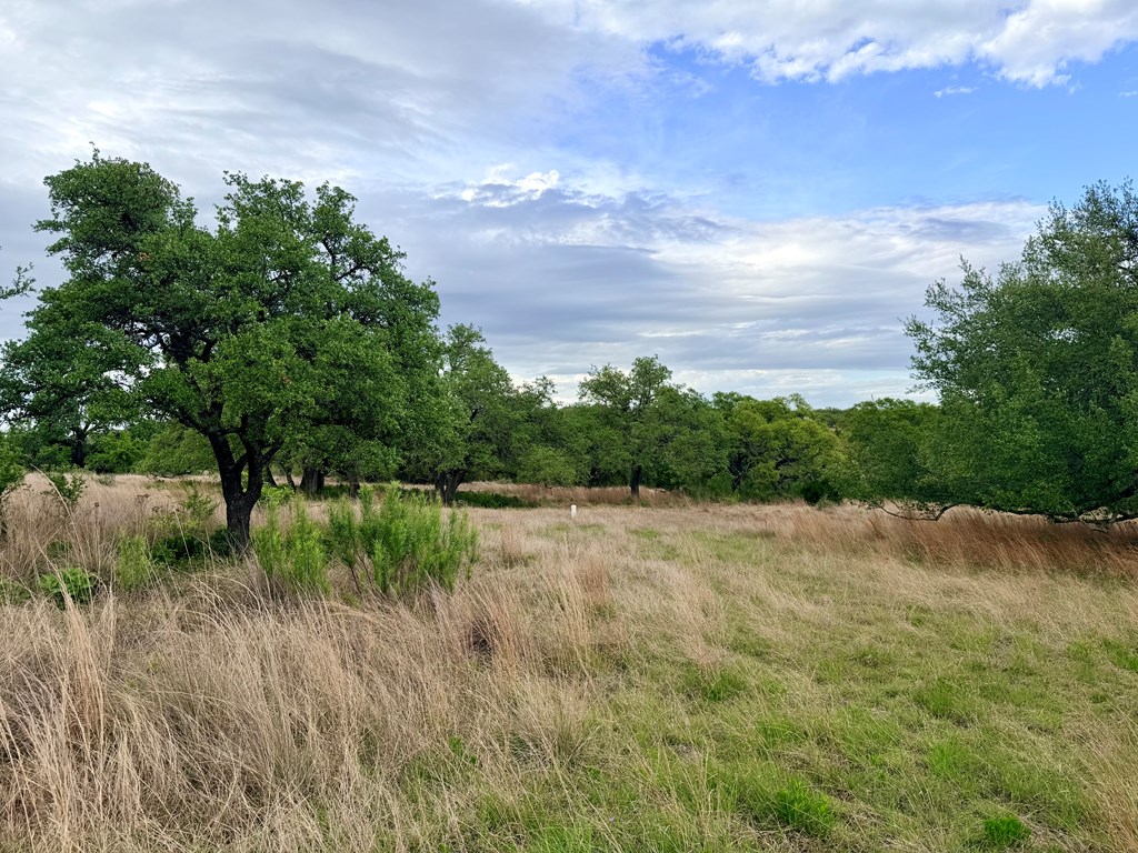 768 North Walnut Springs Road, Unit 26 Johnson City, TX 78636 - Photo 9 of 23 a view of an outdoor space with a lake view