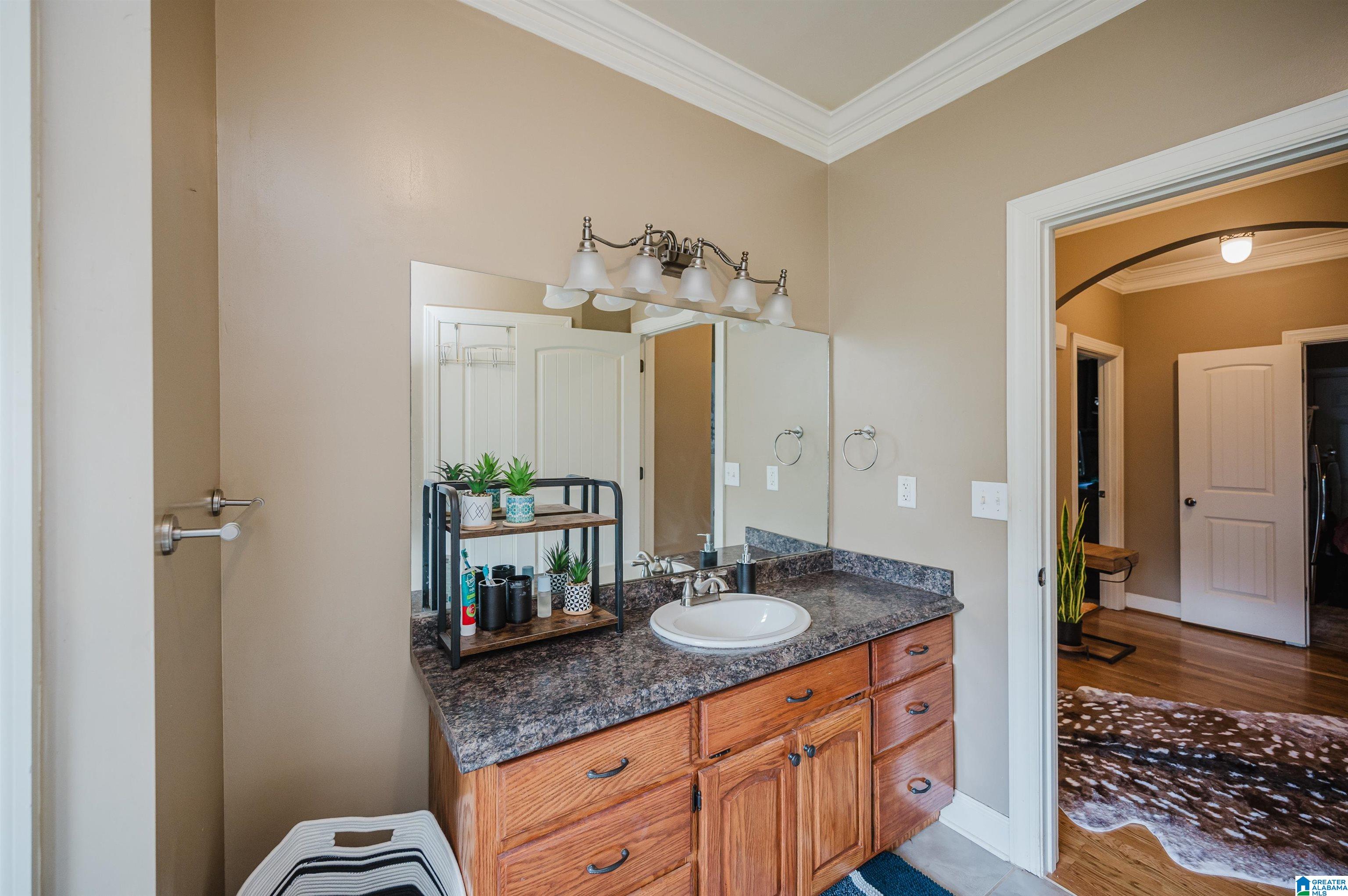 20534 Cathedral Lane McCalla, AL 35111 - Photo 23 of 51