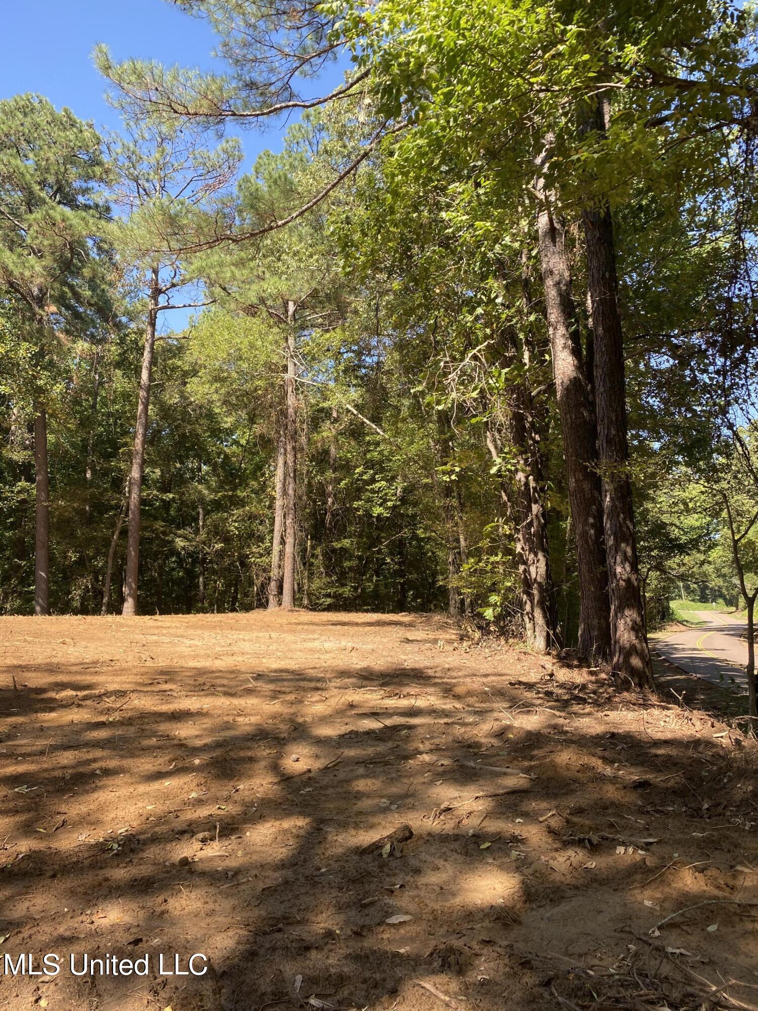 O Bluff Road Coldwater, MS 38618 - Photo 2 of 8 2024-10-02 11.57.44
