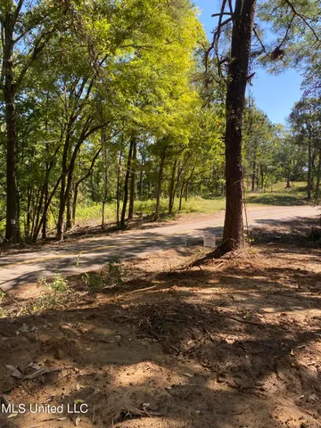 $110,500 | O Bluff Road, Coldwater, MS 38618