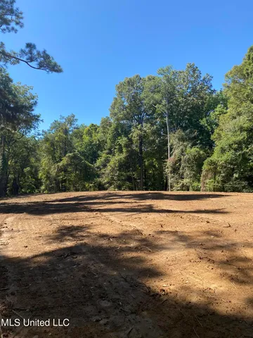 $110,500 | O Bluff Road, Coldwater, MS 38618