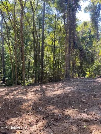 $110,500 | O Bluff Road, Coldwater, MS 38618